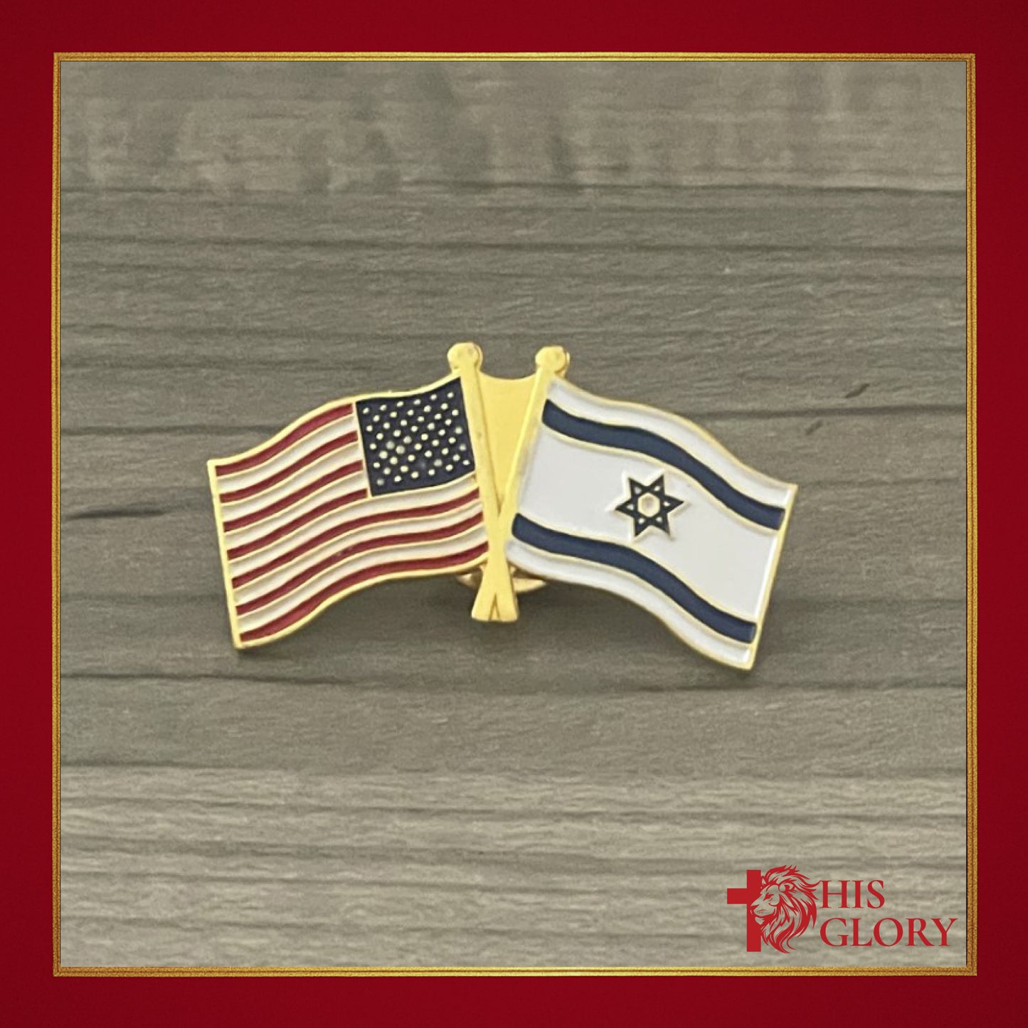 USA & Israel Duel Flag Pin