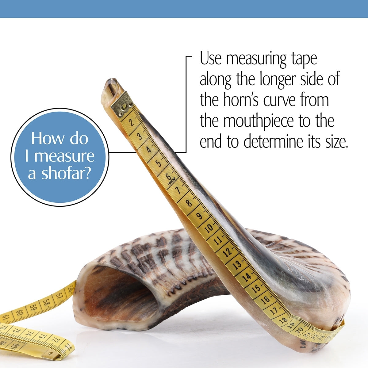 Israeli Shofar