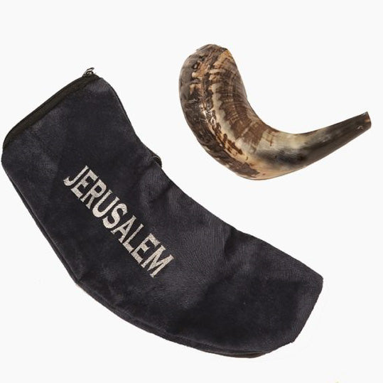 Israeli Shofar