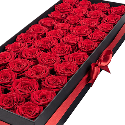 40 Lasting Roses in a Deluxe Box