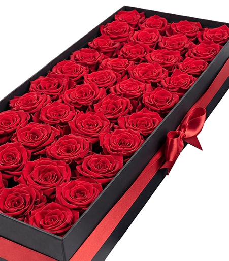 40 Lasting Roses in a Deluxe Box