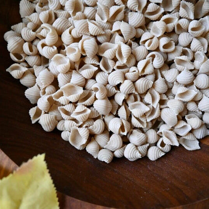 Shell Noodles