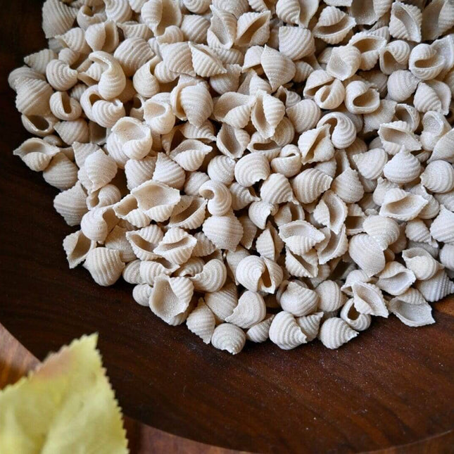 Shell Noodles