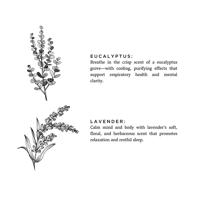 Eucalyptus + Lavender