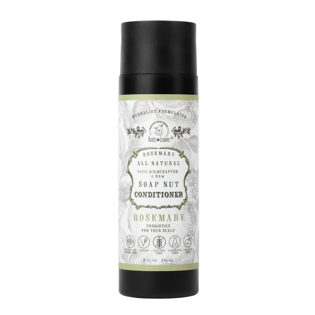 All Natural Soapnut CONDITIONER - ROSEMARY- wild fermented probiotics for your scalp