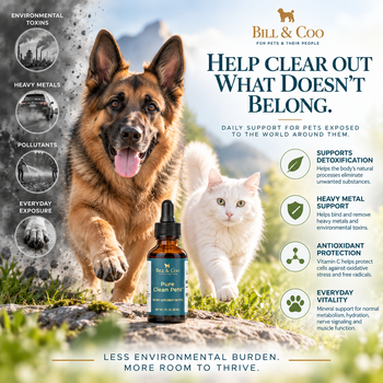 Pets – His Glory Shop