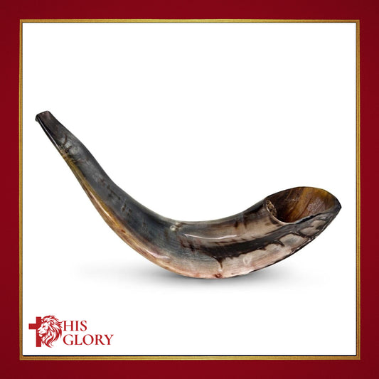 Israeli Shofar