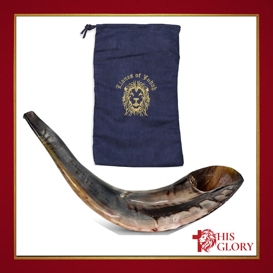 Israeli Shofar