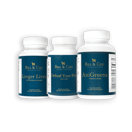 BC Powder Pk