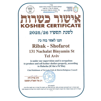 Israeli Shofar - Medium Size 24"-26"
