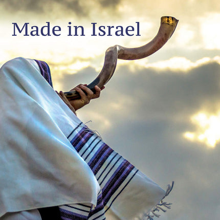 Israeli Shofar - Medium Size 24"-26"