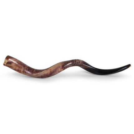 Israeli Shofar - Medium Size 24"-26"