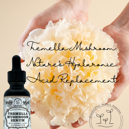 Tremella Mushroom Serum - All Natural Hyaluronic Acid Alternative