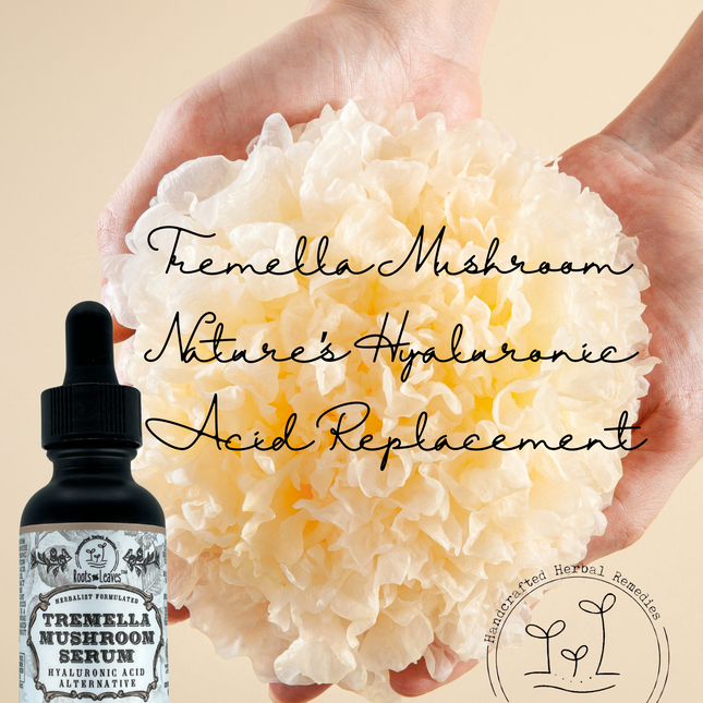 Tremella Mushroom Serum - All Natural Hyaluronic Acid Alternative