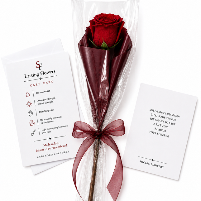 The Lasting Rose
